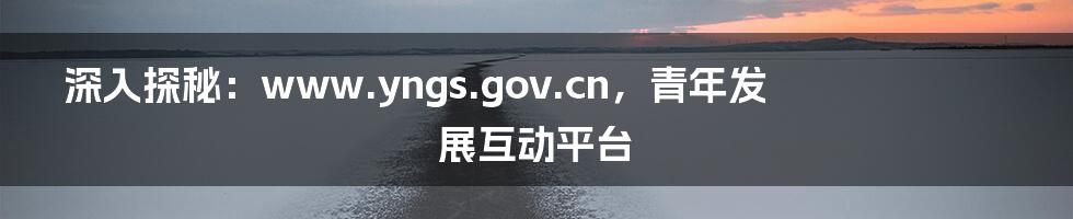 深入探秘:www.yngs.gov.cn,青年发展互动平台