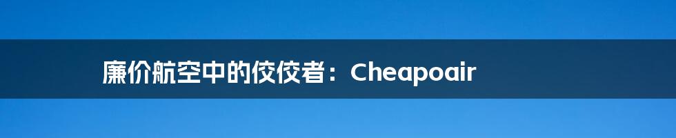廉价航空中的佼佼者:Cheapoair