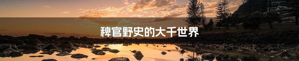 稗官野史的大千世界