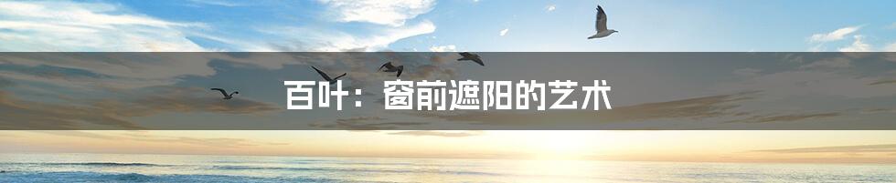 百叶:窗前遮阳的艺术