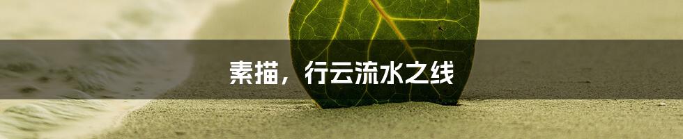 素描,行云流水之线