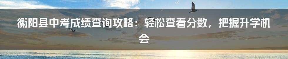 衡阳县中考成绩查询攻略:轻松查看分数,把握升学机会