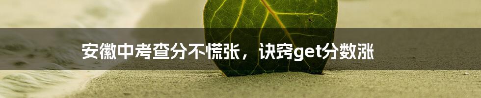 安徽中考查分不慌张,诀窍get分数涨