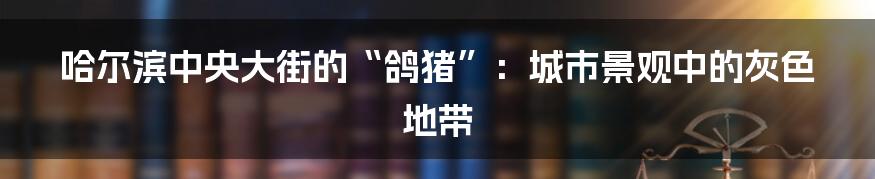哈尔滨中央大街的“鸽猪”:城市景观中的灰色地带
