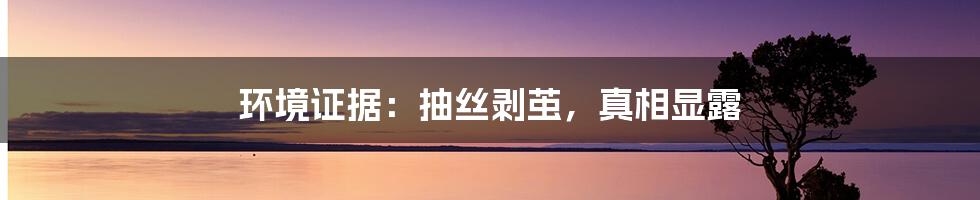 环境证据:抽丝剥茧,真相显露