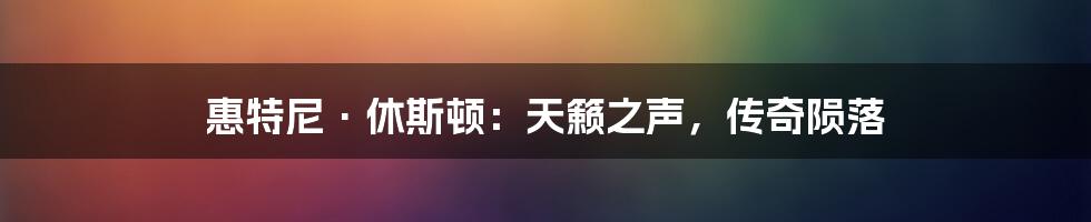 惠特尼·休斯顿:天籁之声,传奇陨落