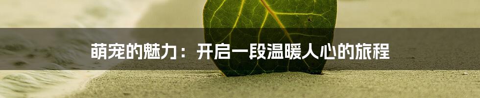 萌宠的魅力:开启一段温暖人心的旅程