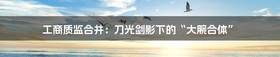 工商质监合并:刀光剑影下的“大腕合体”
