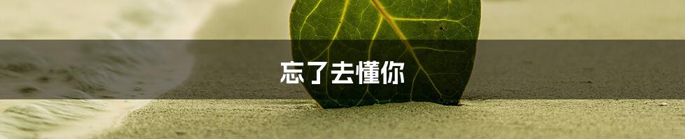 忘了去懂你