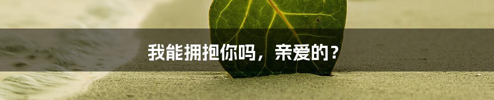 我能拥抱你吗，亲爱的？