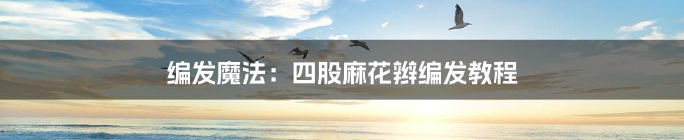 编发魔法:四股麻花辫编发教程