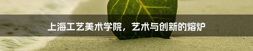 上海工艺美术学院,艺术与创新的熔炉