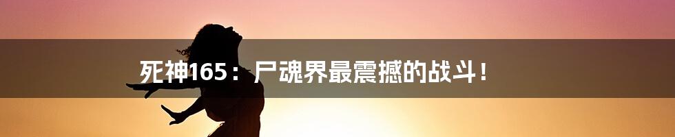 死神165：尸魂界最震撼的战斗！