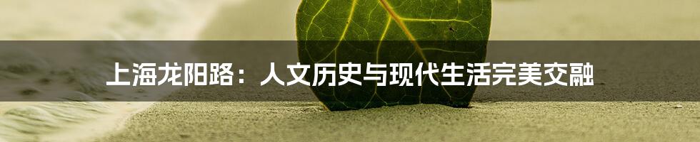 上海龙阳路:人文历史与现代生活完美交融
