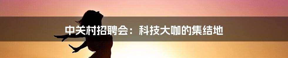 中关村招聘会：科技大咖的集结地