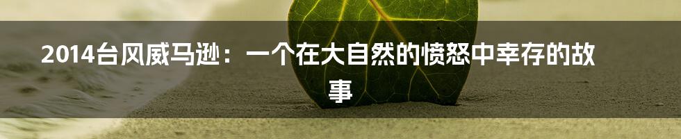 2014台风威马逊:一个在大自然的愤怒中幸存的故事