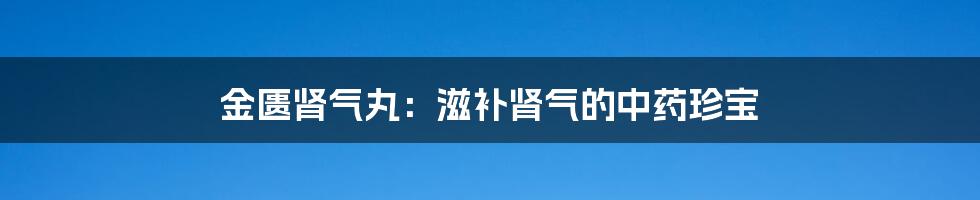金匮肾气丸：滋补肾气的中药珍宝