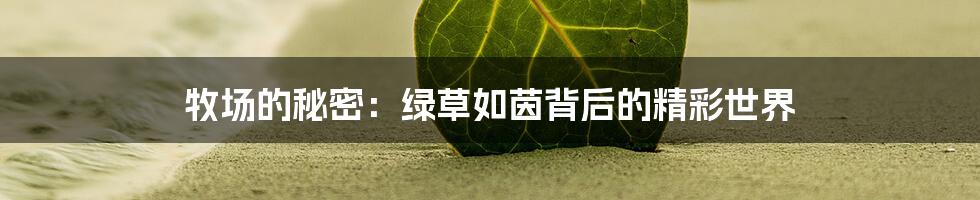 牧场的秘密:绿草如茵背后的精彩世界