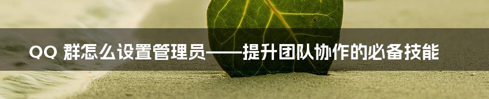 QQ 群怎么设置管理员——提升团队协作的必备技能