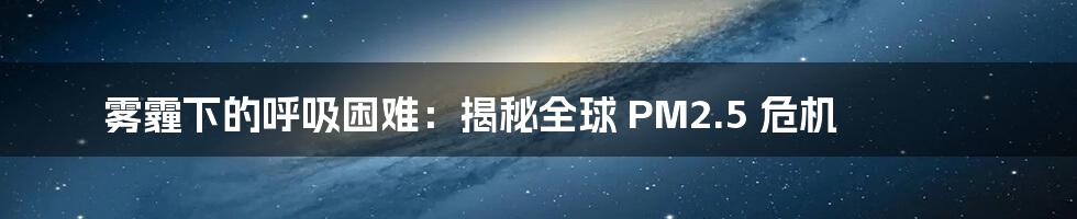 雾霾下的呼吸困难:揭秘全球 PM2.5 危机