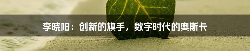 李晓阳:创新的旗手,数字时代的奥斯卡