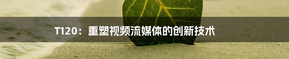 T120:重塑视频流媒体的创新技术