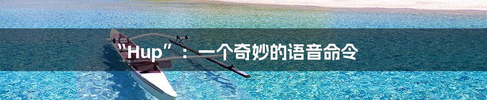 “Hup”:一个奇妙的语音命令