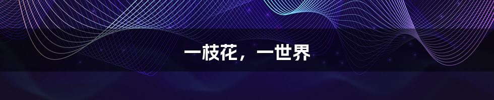 一枝花,一世界