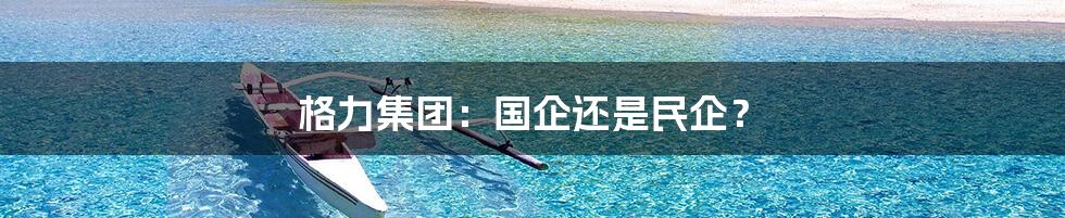格力集团:国企还是民企?