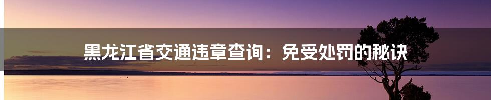 黑龙江省交通违章查询:免受处罚的秘诀