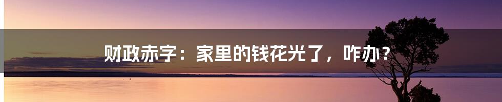 财政赤字:家里的钱花光了,咋办?