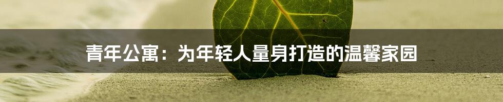 青年公寓:为年轻人量身打造的温馨家园