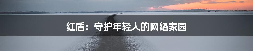 红盾:守护年轻人的网络家园