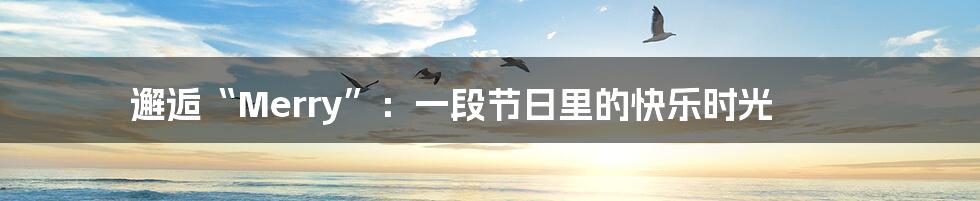 邂逅“Merry”:一段节日里的快乐时光