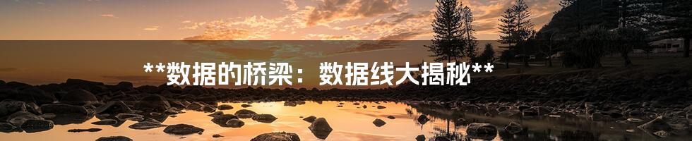 **数据的桥梁:数据线大揭秘**
