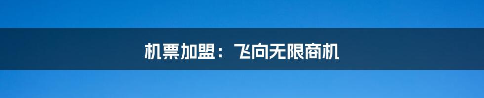 机票加盟：飞向无限商机