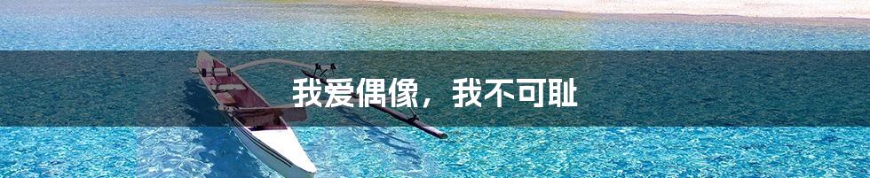 我爱偶像,我不可耻