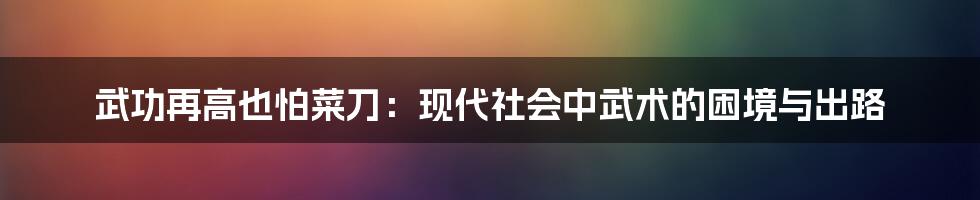 武功再高也怕菜刀:现代社会中武术的困境与出路