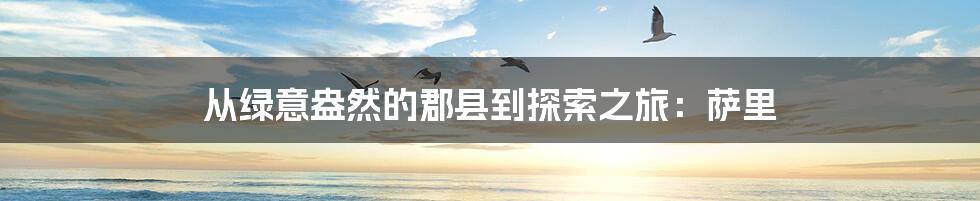 从绿意盎然的郡县到探索之旅:萨里