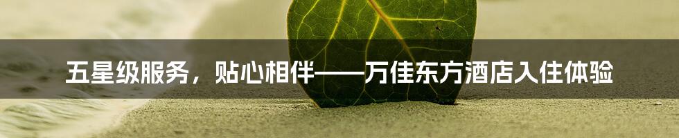 五星级服务,贴心相伴——万佳东方酒店入住体验