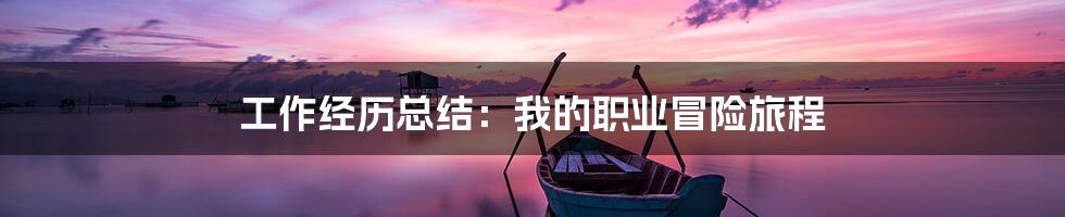 工作经历总结:我的职业冒险旅程