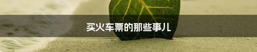 买火车票的那些事儿