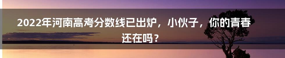 2022年河南高考分数线已出炉，小伙子，你的青春还在吗？