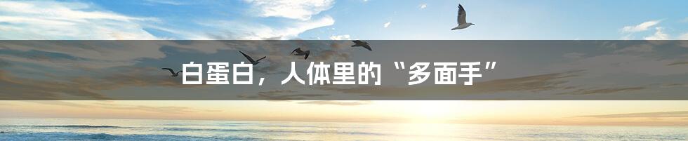 白蛋白,人体里的“多面手”