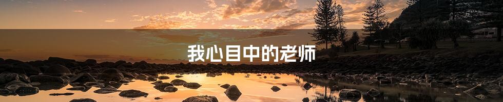 我心目中的老师