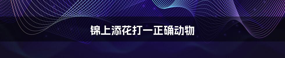 锦上添花打一正确动物