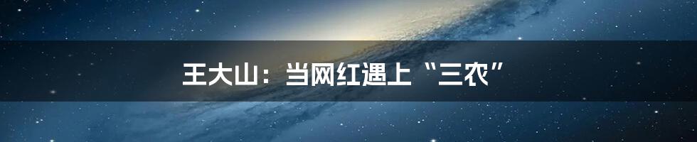 王大山:当网红遇上“三农”