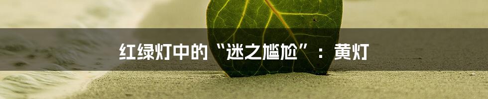红绿灯中的“迷之尴尬”:黄灯
