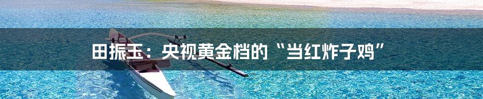 田振玉:央视黄金档的“当红炸子鸡”