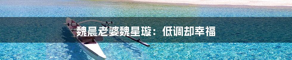 魏晨老婆魏星璇:低调却幸福